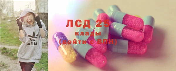 PSILOCYBIN Белокуриха